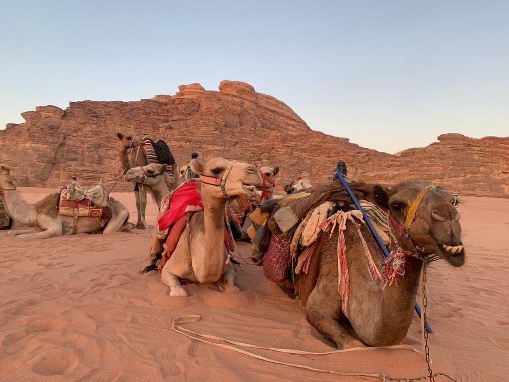 Space Village Luxury Camp Wadi Rum Eksteriør billede